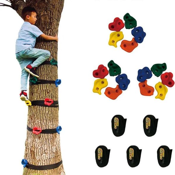 Attrezzature Per L'arrampicata Sugli Alberi-image