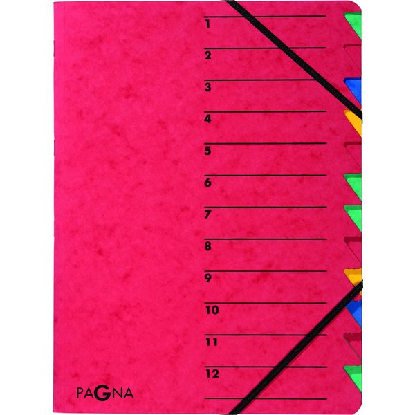 Pagna® 24131-01 Organizer Easy - 12 Scomparti, A4, Cartoncino, 265 G/M², Rosso-image