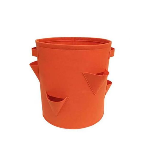 Contenitore Per Fragole In Tessuto Rourke - Arancione-image