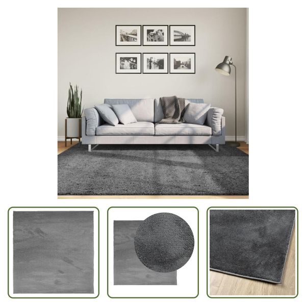 The Living Store Tappeto Oviedo A Pelo Corto Antracite 200X200 Cm-image