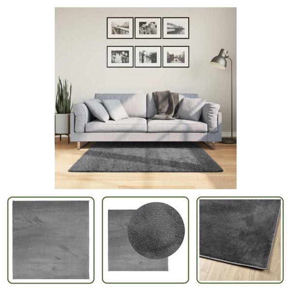 The Living Store Tappeto Oviedo A Pelo Corto Antracite 120X120 Cm-image