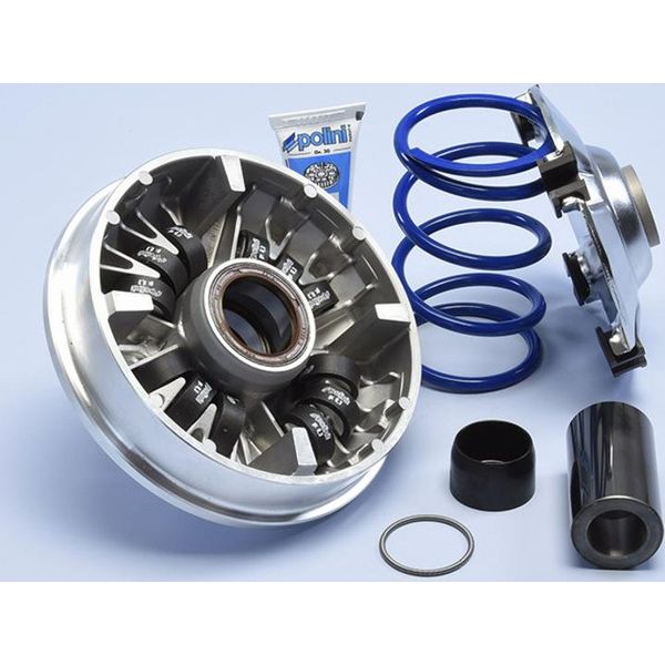 Polini Variatore Hi-Speed 12 Rulli - Per Honda Sh 350-image