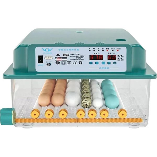 Incubatrice Di Uova Completamente Automatica, Controllo Digitale Della Temperatura, 36 Uova-image