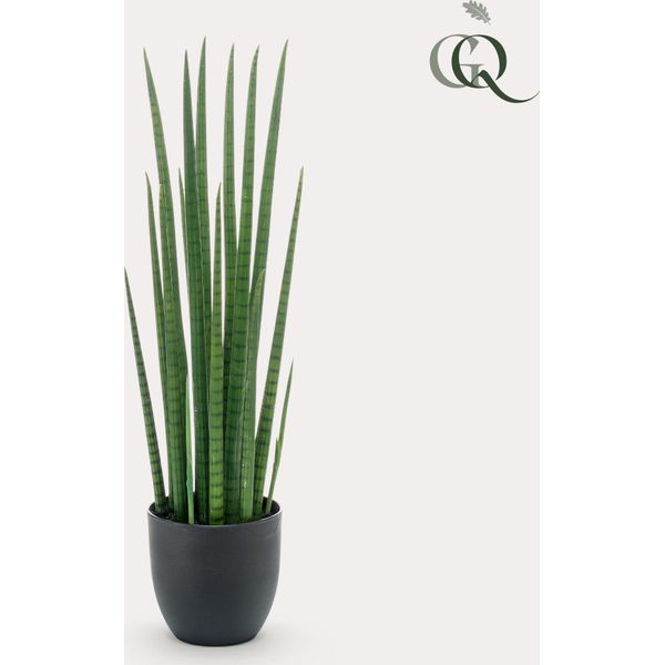 Pianta Artificiale Sansevieria Cylindrica Lingua Di Donna 70 Cm - Facile Da Curare E Sempreverde Per La Vostra Casa-image