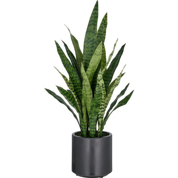 Sansevieria Zeylanica Pianta Artificiale 90 Cm In Vaso Di Plastica Color Antracite 21,5X22 Cm Con Terriccio-image