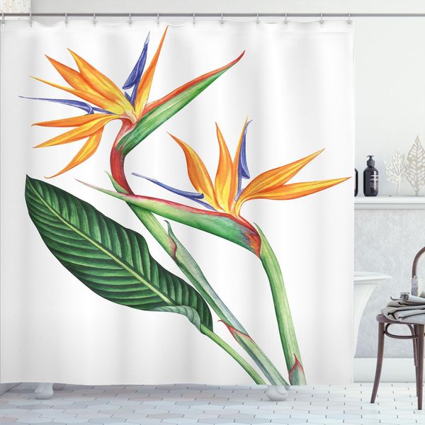 Abakuhaus Tenda Da Doccia Hawaii Colors, Dipinto Tropicale Con Un Fiore Paradisiaco Su Sfondo Semplice, 175 X 240 Cm, Multicolore Bianco-image