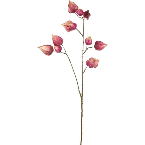 Countryfield Fiore Artificiale Decorazione Physalis Viola 95Cm Ramo Artificiale-image