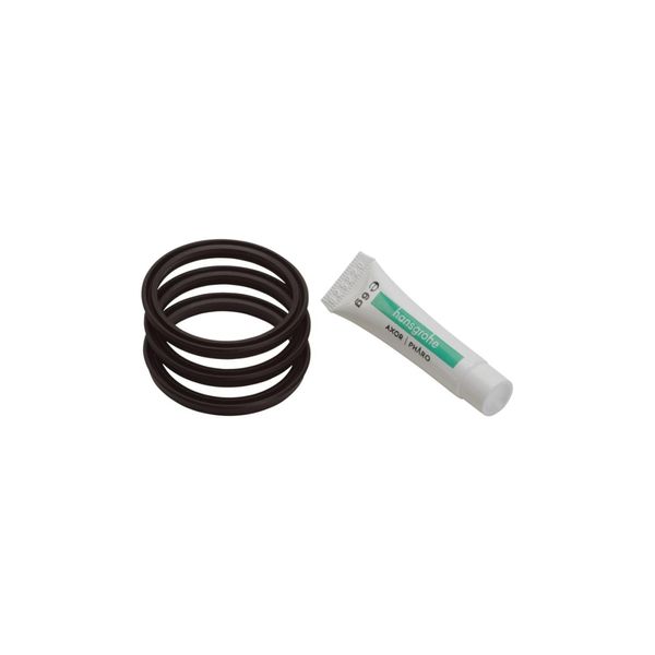 Hansgrohe Dichtungsset FüR Allegra M Schwenkausl., F KüChenarmatur Allegra (96529000)-image