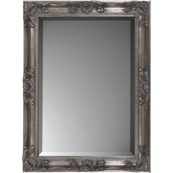 Casa Padrino Specchio Barocco Argento Antico 62 X H. 82 Cm - Specchio Da Parete Rettangolare In Stile Barocco - Magnifico Specchio Guardaroba In Stile Antico - Interni Barocchi - Mobili Barocchi Artigianali-image