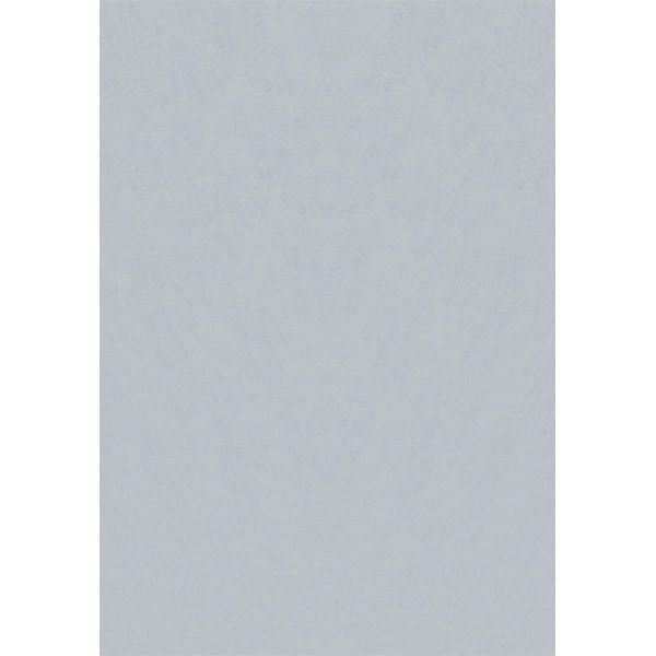 Sky Tappeto Pelo Corto Runner 80X150Cm Argento-image