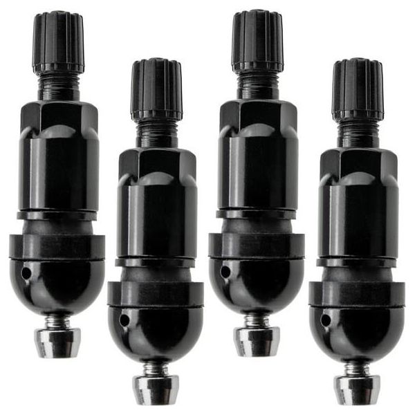 Valvola Sensore Pressione Pneumatici Cromata Nera Beru Tpms-07B Riparazione-image