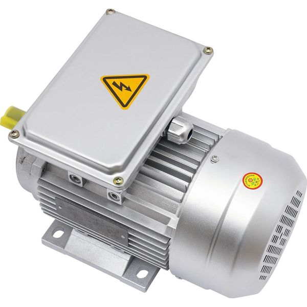 Motore Elettrico Asincrono, Potenza 750 W, Velocità 1380 Giri/Min, Protezione IP55-image