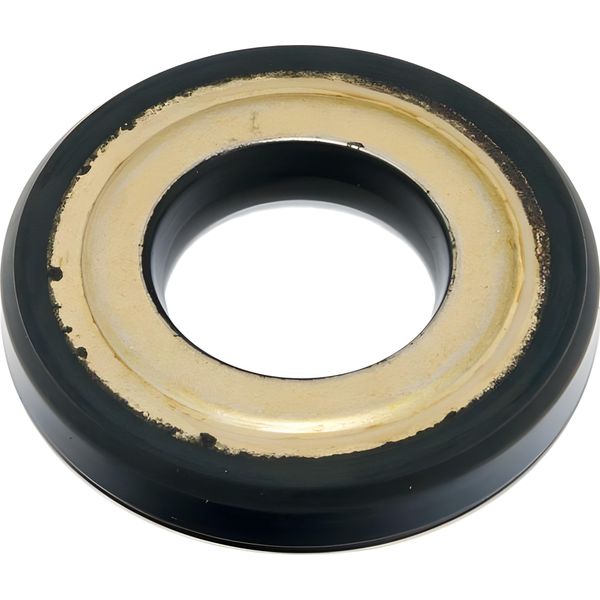 Paraolio Rms 22.7X47X7.5Mm Compatibile Con Vespa 50 - 125 Primavera / ET3-image