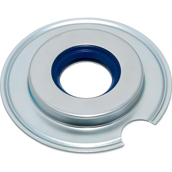 Paraolio Blu 20X40X6Mm Rms Per Vespa 150 Gl / Sprint / Super-image