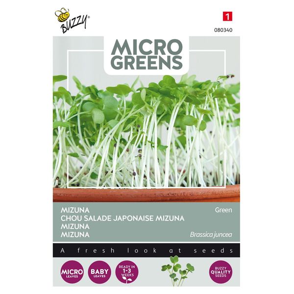 Buzzy Microgreens Mizuna Grun Semi - Circa 1 Gr | Buzzy_080340-image