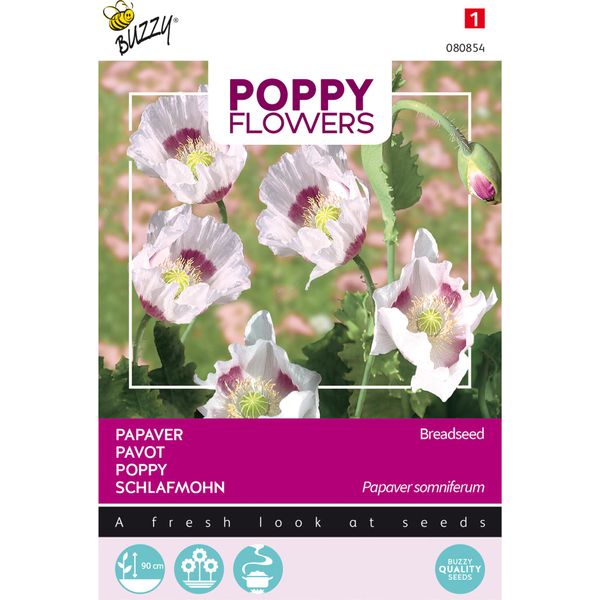 Buzzy Poppy Flowers Semi Di Papavero Da Oppio - Circa 1 Gr | Buzzy_080854-image