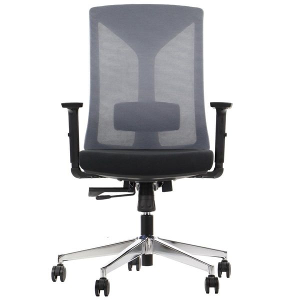 Sedia Da Ufficio Girevole Ergonomica Hager, Base Cromata, Braccioli Regolabili, Schienale In Rete, Nero/Grigio-image