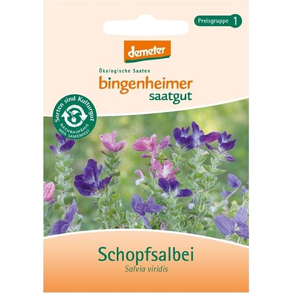 Salvia Crestata - Salvia Viridis-image