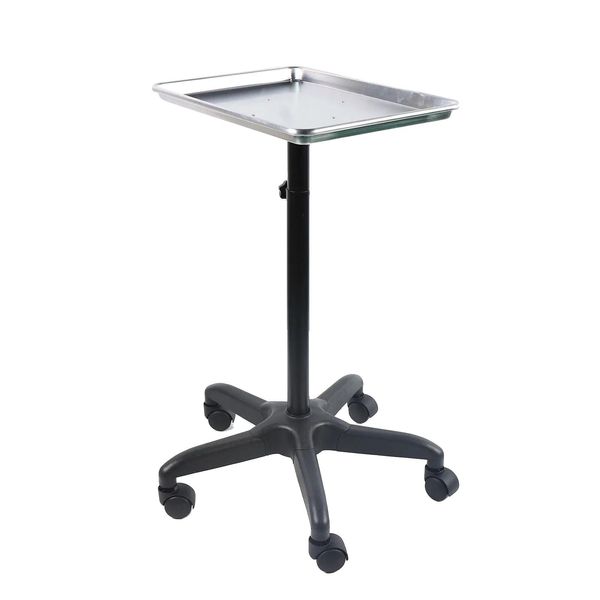 Carrello Da Salone, Regolabile In Altezza Da 64 A 108 Cm, Struttura In Alluminio Resistente, Argento-image