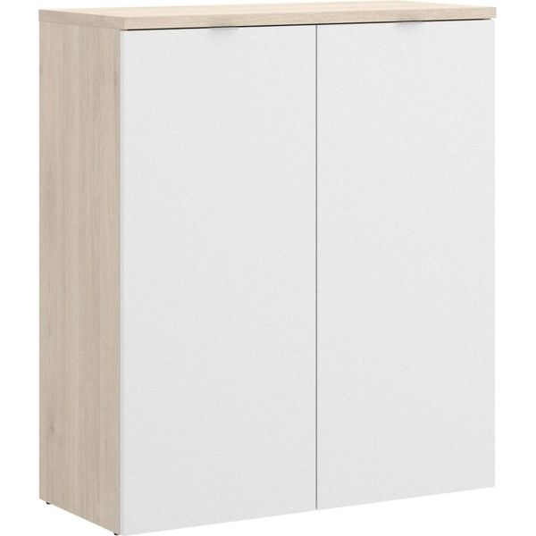 Dmora Armadio Multiuso 2 Ante Alicha 40X96H Cm Bianco, 2 Ante 3 Vani-image
