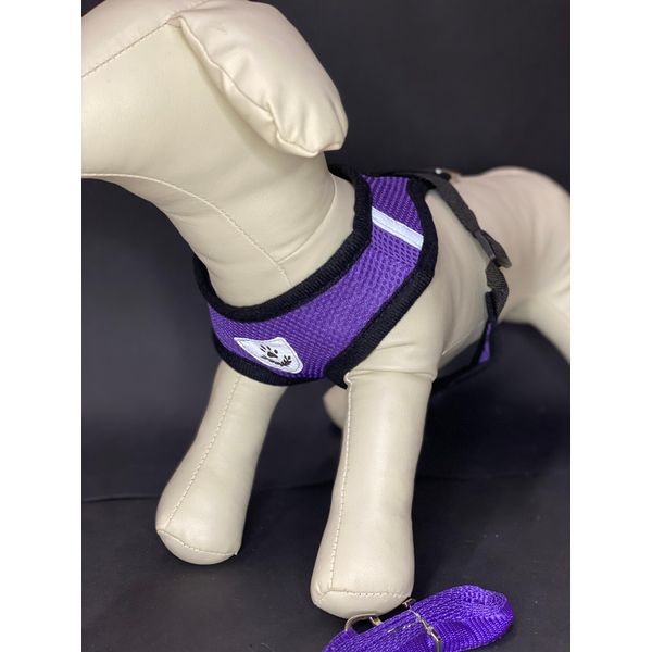 Reflex Collari Per Cani Con Guinzaglio M - Viola-image