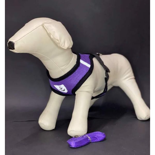 Reflex Collari Per Cani Con Guinzaglio L - Viola-image