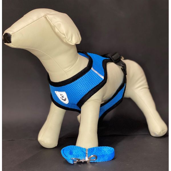 Reflex Collari Per Cani Con Guinzaglio M - Blu-image