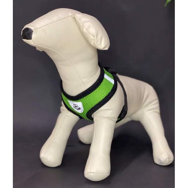 Reflex Collari Per Cani Con Guinzaglio Xl - Verde-image