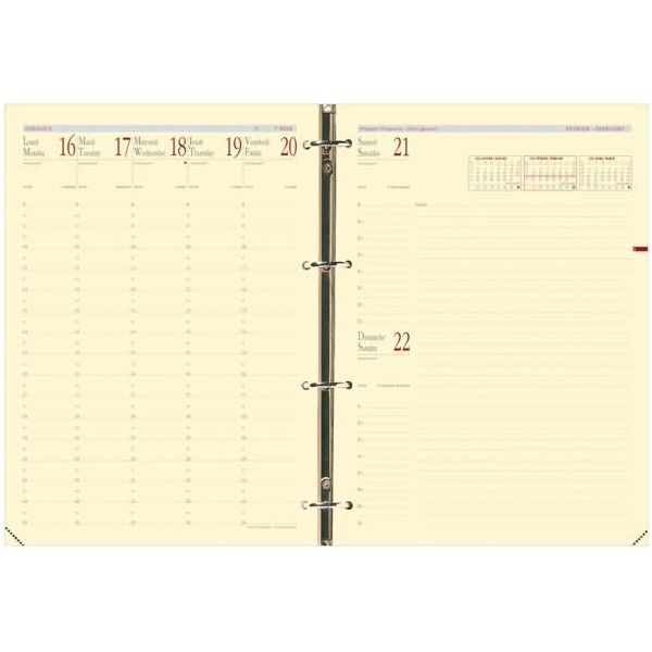 Quo Vadis 932004Q Quo Vadis Ricarica "Timer 29 Prestige"", 2025/2026, 16 Mesi"-image