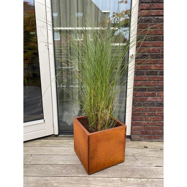 Fioriera - Vaso In Acciaio Corten 50 X 50 X 50 Cm - Per Pezzo-image