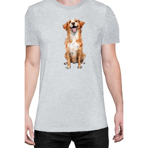 Maglietta Da Uomo Funny Dogs Breeds Novia Scotia Duck Tolling Retriever Dog Breed, Man 3XL , Gris-image