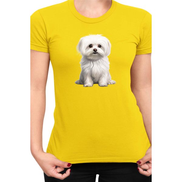 Maglietta Da Donna Dogs Breeds Maltese Dog Breed 006, Lady M , Jaune-image