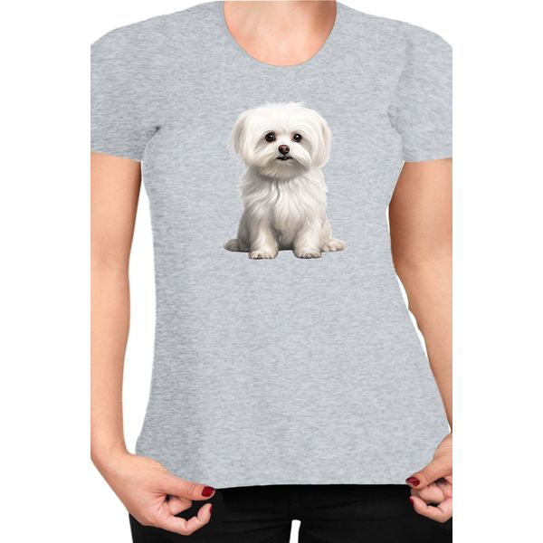Maglietta Da Donna Dogs Breeds Maltese Dog Breed 006, Lady M , Gris-image