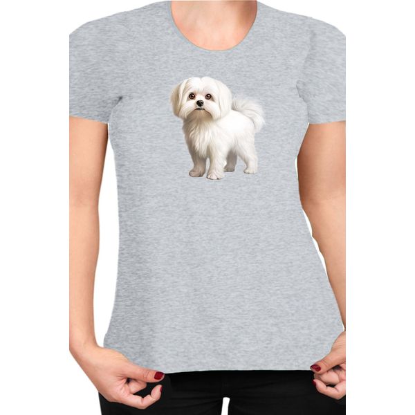 Maglietta Da Donna Dogs Breeds Maltese Dog Breed 005, Lady L , Gris-image