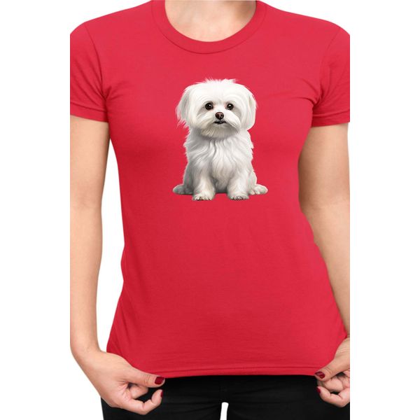 Maglietta Da Donna Dogs Breeds Maltese Dog Breed 006, Lady Xs , Rouge-image
