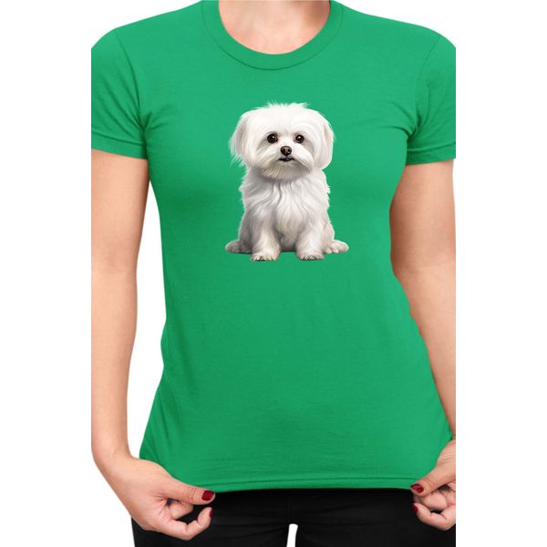 Maglietta Da Donna Dogs Breeds Maltese Dog Breed 006, Lady S , Vert-image