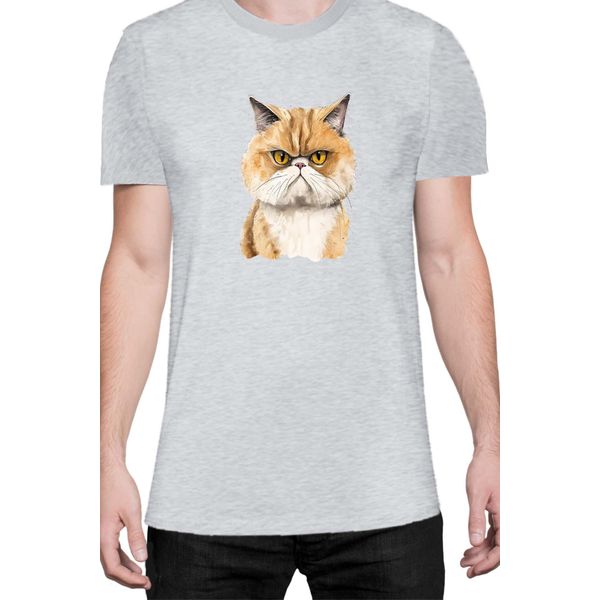 Maglietta Da Uomo Funny Cats Breeds Exotic Shorthair Cat, Man 2XL , Gris-image
