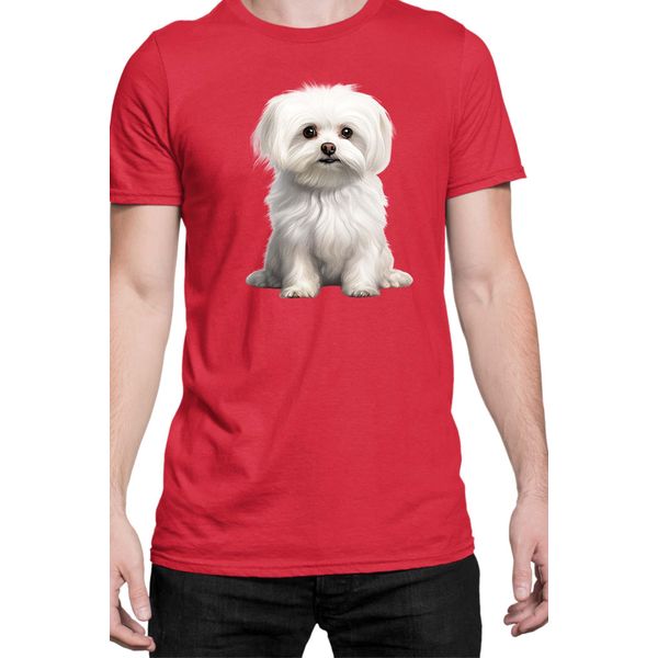 Maglietta Da Uomo Dogs Breeds Maltese Dog Breed 006, Man M , Rouge-image