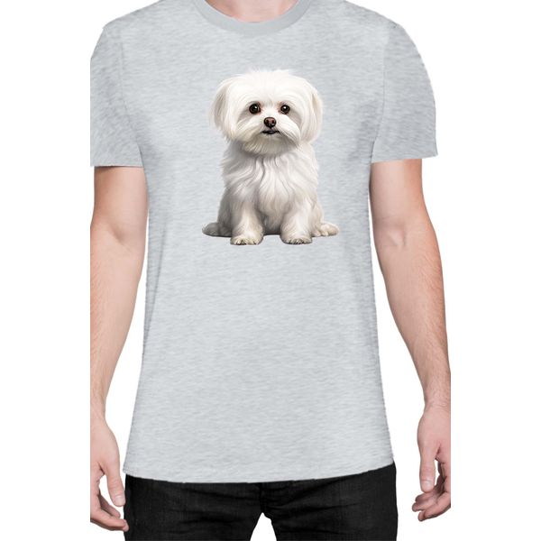 Maglietta Da Uomo Dogs Breeds Maltese Dog Breed 006, Man M , Gris-image