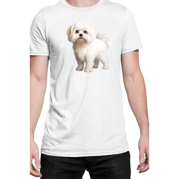 Maglietta Da Uomo Dogs Breeds Maltese Dog Breed 005, Man Xl , Blanc-image