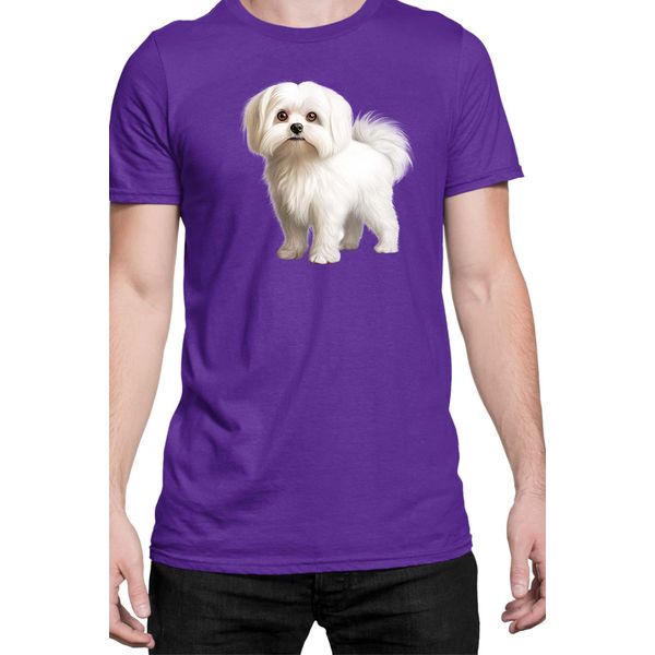 Maglietta Da Uomo Dogs Breeds Maltese Dog Breed 005, Man M , Lilas-image