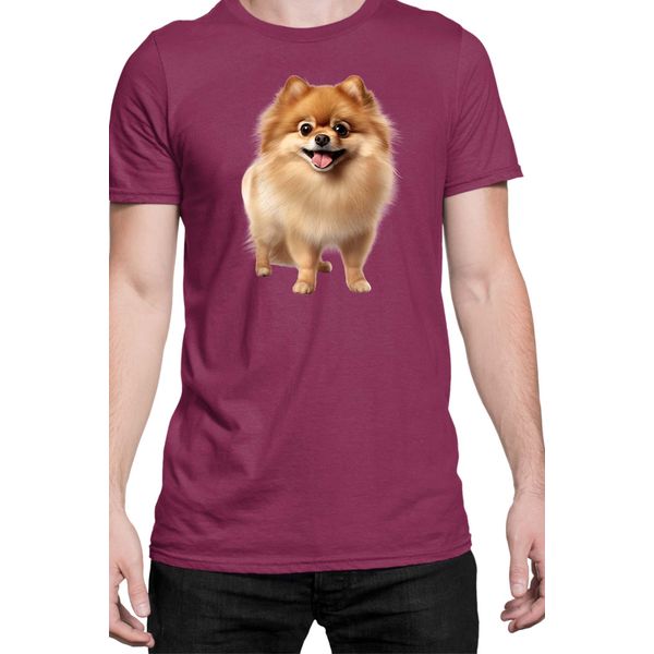 Maglietta Da Uomo Dogs Breeds Pomeranian Dog Breed 005, Man M , Bordeaux-image