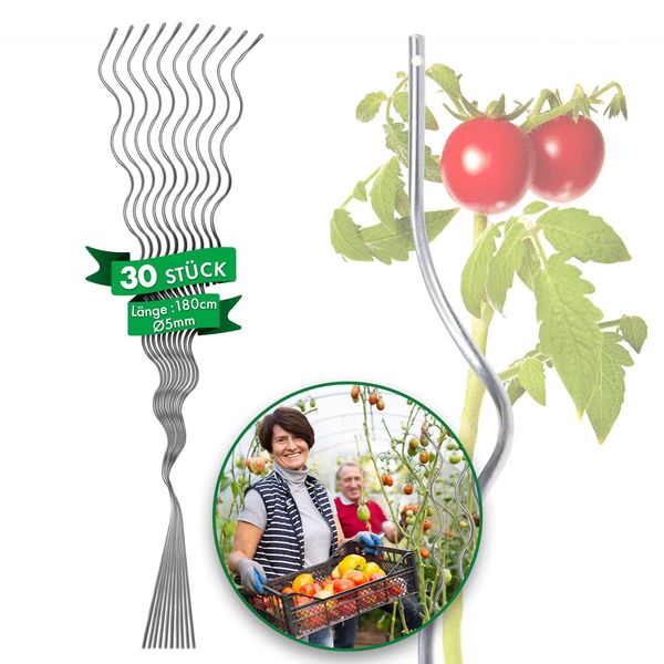 Aste A Spirale Per Pomodori, Completamente Zincate Asta Per Piante, Lunghezza 180 Cm, 30 Pezzi-image