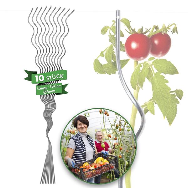 Bastoni A Spirale Per Pomodori, Completamente Zincati Bastoni Per Piante, Lunghezza 180 Cm, 10 Pezzi-image