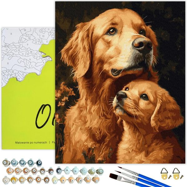 Oh Art! Pittura Numerica Per Adulti Con Cornice 40X50 Cm- Golden Retriever Duo - Set Fai Da Te Con Motivi Canini: Tela, 20 Colori Acrilici, 3 Pennelli & Accessori-image