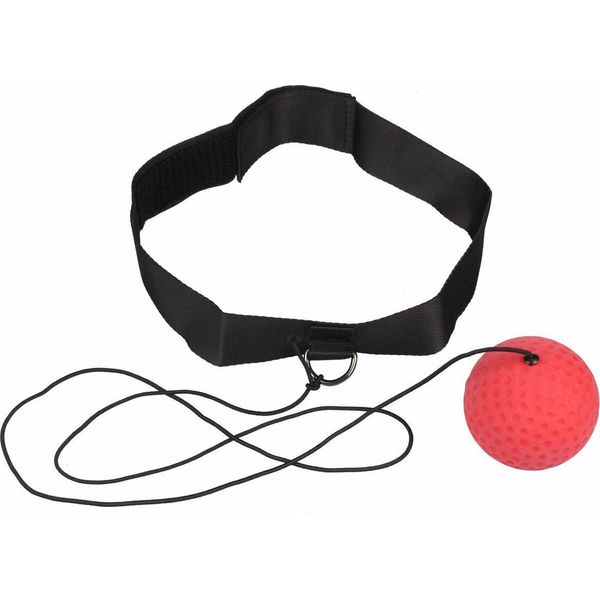 Palla Da Boxe Apollo Variante 41034-image