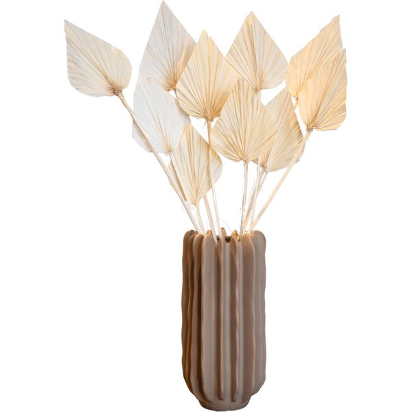 Fiori Secchi - 10 Pezzi - Mazzo 'Palmspear Bleached White'-image