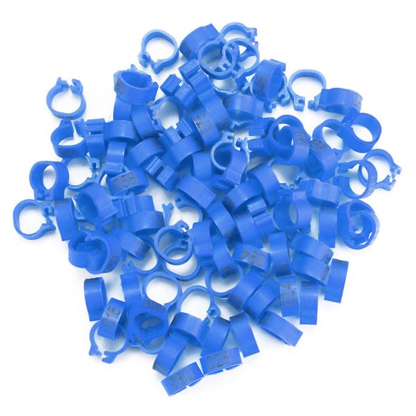 Anelli Per Piccioni, Anelli Per Zampe Di Piccione, Fasce Per Zampe Di Piccione, Anelli Per Zampe Di Piccione A Forma Di Lettera, Anelli Per Zampe Di Piccione A Forma Di Lettera In Plastica-image