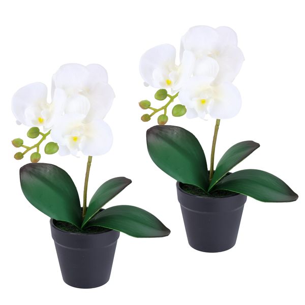 Kunstorchidee I.Ge.A. "Orchidee Im Topf 2Er Set", Weiß, B:18Cm H:30Cm L:9Cm, Polyester, Kunstpflanzen, KüNstliche Phalaenopsis 30Cm Real Touch Blume Kunstblume Seidenblume-image