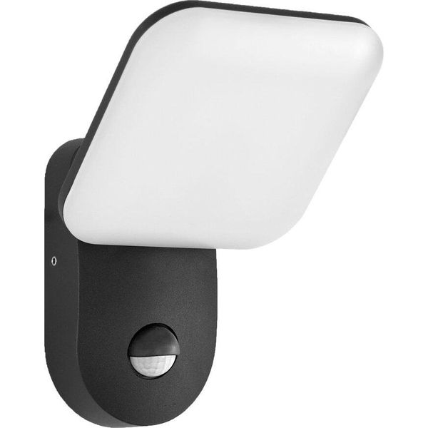 Applique Da Esterno A 12W Led Con Sensore Nammi 4K D-SENSOR OWL-6206-S-4K Italux-image